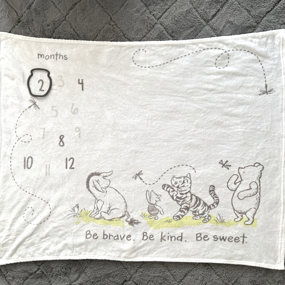 New Pooh bear 1/12 months photo blanket